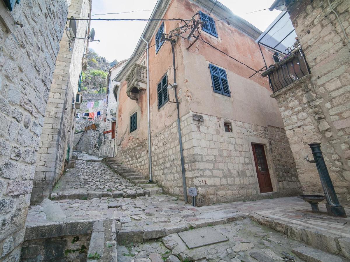 Apartment Alexandra Kotor Kültér fotó