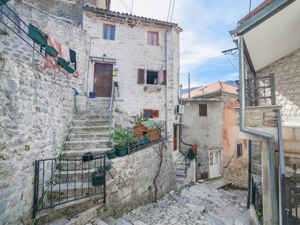 Apartment Alexandra Kotor Kültér fotó